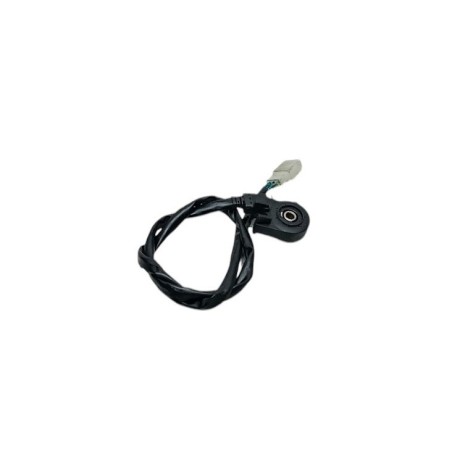 SENSOR PATA DE CABRA SYM SYMPHONY ST LC 125 2021-2024 EURO 5