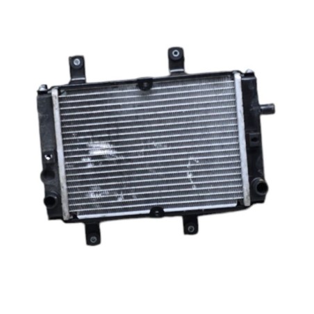 RADIADOR DE AGUA SYM CRUISYM ALPHA 300 E5 2021-2024
