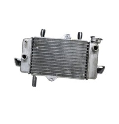 RADIADOR DE AGUA YAMAHA YZF125R 2008-2013