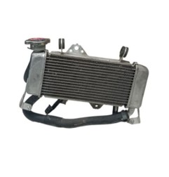 Radiador De Agua Con Tapón Yamaha Yzf125R 2023-2025