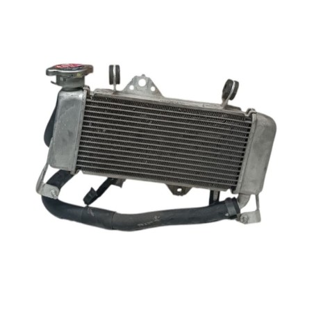 Radiador De Agua Con Tapón Yamaha Yzf125R 2023-2025