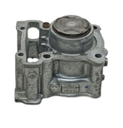 CILINDRO COMPLETO CON PISTÓN Y AROS YAMAHA XMAX 125 TECH MAX 2021-2023