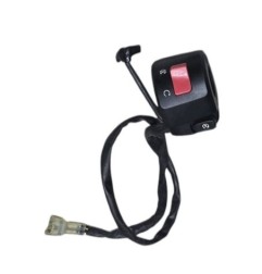 PINA DE ARRANQUE LADO DERECHO KAWASAKI Z900E 2020-2024