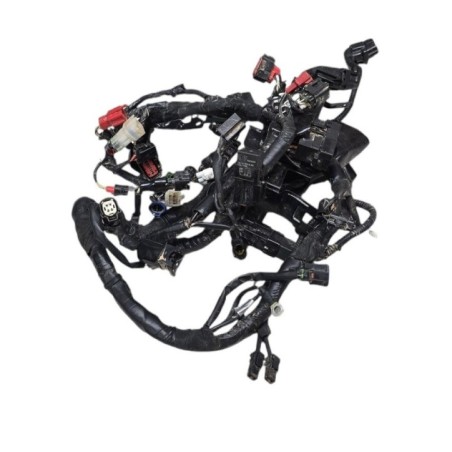 SISTEMA ELÉCTRICO PRINCIPAL ROYAL ENFIELD METEOR 350 2021-2025