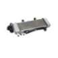 RADIADOR DE AGUA JC91 HONDA CB125R 2021-2023