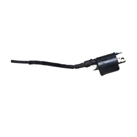 BOBINA DE ALTA JC50 HONDA CBR125R 2011-2016 | Honda CBR125R 2011-2016 JC50