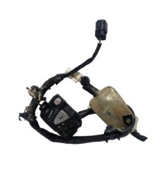 PIÑA LUCES INUNDADA