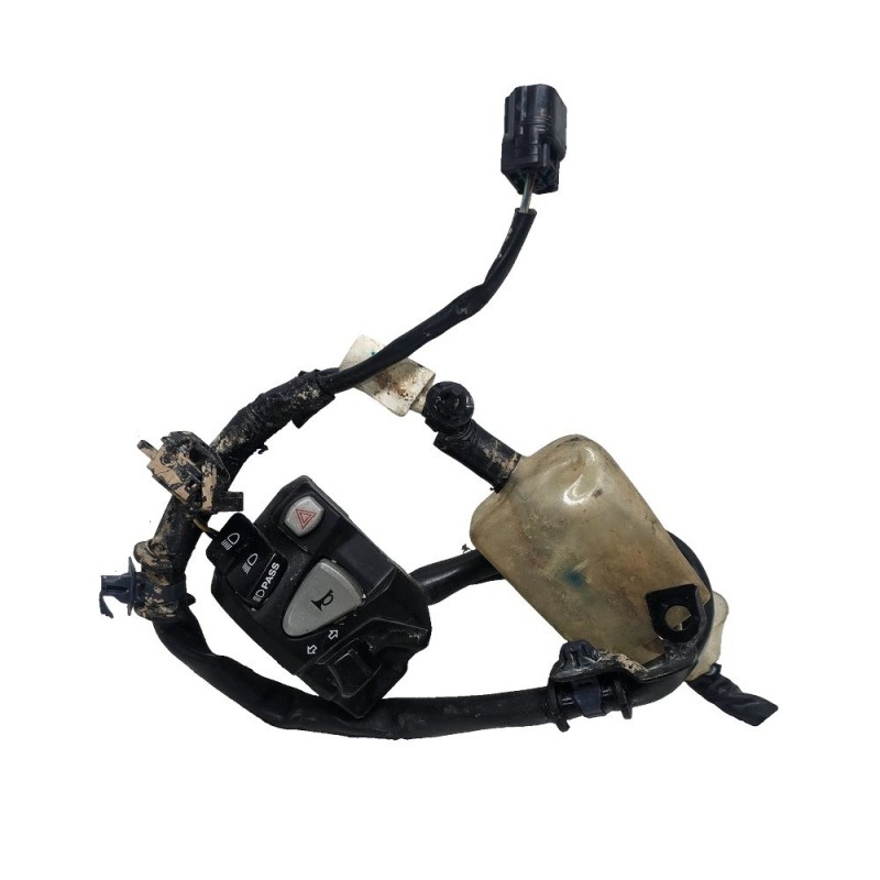 PIÑA LUCES INUNDADA